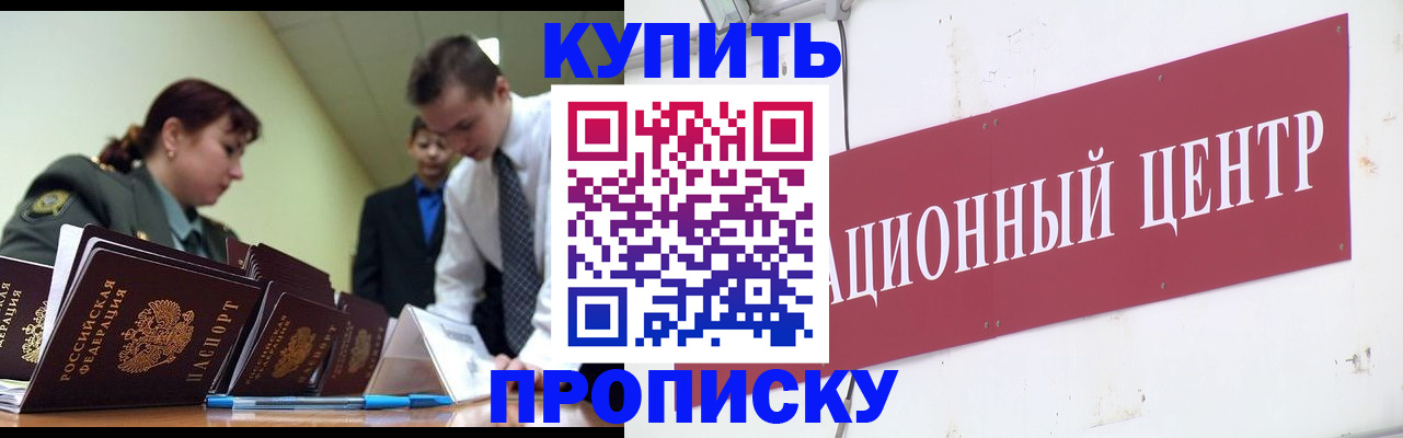 прописка поиск в Бабаево